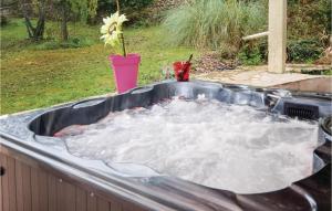Nice home in Salazac with Jacuzzi, Sauna and Private swimming pool