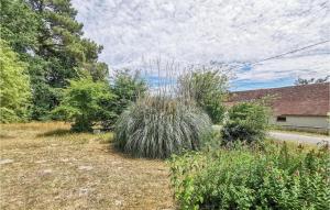 Nice home in Selles-sur-Cher with WiFi and 3 Bedrooms