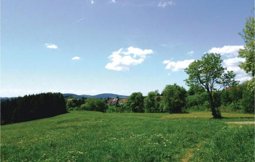Nice home in St, Andreasberg with 1 Bedrooms, Sauna and WiFi