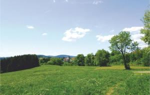 Nice home in St, Andreasberg with 1 Bedrooms, Sauna and WiFi