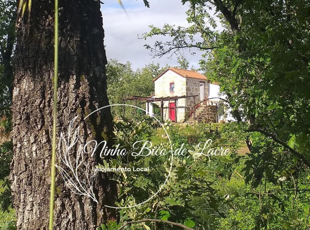 Ninho Bico-de-Lacre ~ o paraíso é a/na Terra Rua Principal Quinta Amor Zombaria, 3420-053 Balocas