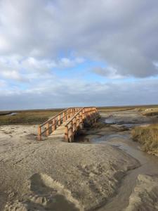 Nordsee-Traum unter Reet
