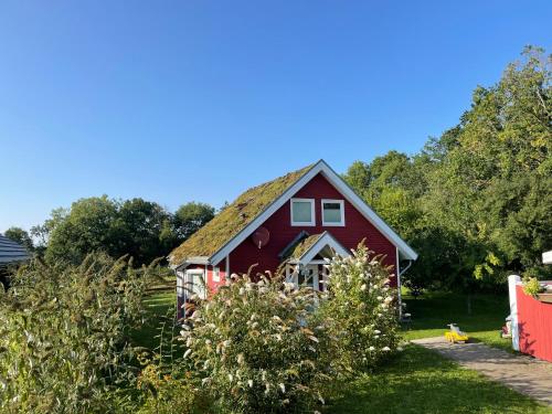 Norweger Haus am Tollensesee