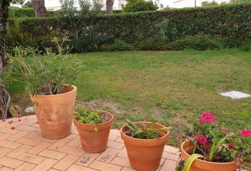Oasis Parque Home 98
