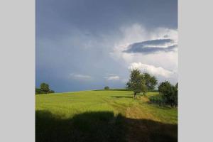 obouduchemin