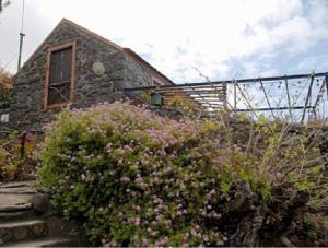 Maison de vacances Ocean View Cottage Caminho das Cales e Chada 9370-711 Arco da Calheta Madère