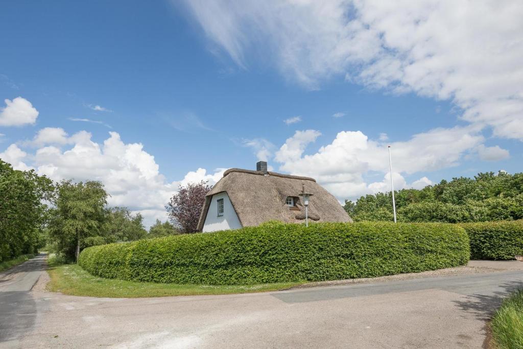 Ohrstedter Reethuus Wittbeker Weg 6, 25885 Wester-Ohrstedt