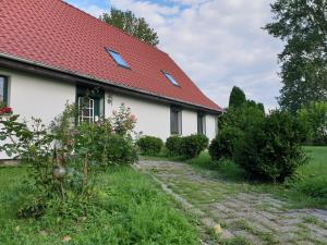 Maison de vacances Öko-Ferienhaus 3 Feldrainstraße Neu-Kartzitz 18528 Rappin Mecklembourg-Poméranie