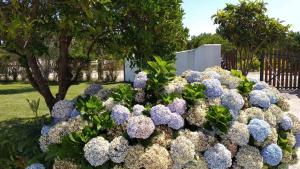 Olívia Country House Melides, casa de férias completa, Piscina, 10min da Praia