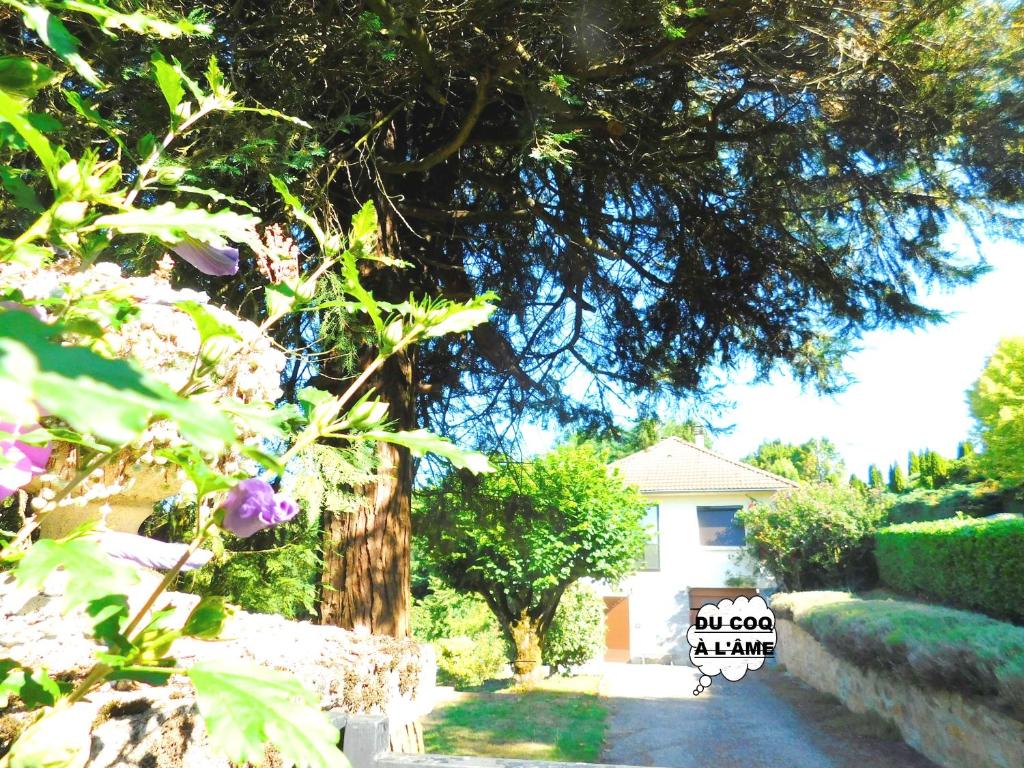 One bedroom bungalow with shared pool enclosed garden and wifi at Silves 8300-035 Silves