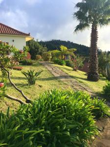 Maison de vacances One bedroom house with sea view furnished garden and wifi at Ponta Do Pargo Rua da Igreja 110 Madeira 9385-219 Ponta do Pargo Madère