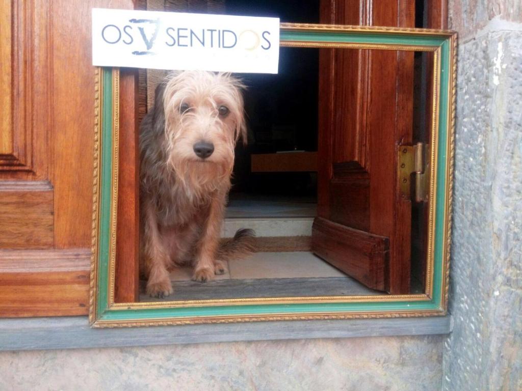 Os 5 Sentidos Rua de Santa Margarida, 16, 7240-265 Mourão