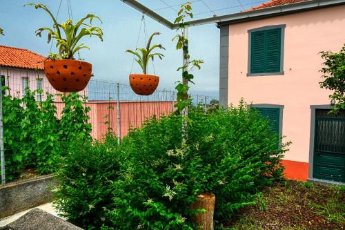 Os Ferreirinhos, a Home in Madeira