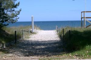 Ostsee Strandhaus Seerobbe