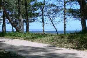 Ostsee Strandhaus Seerobbe