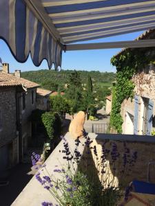 Paradis de Provence, Maison Orange