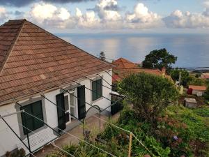 Paradise View