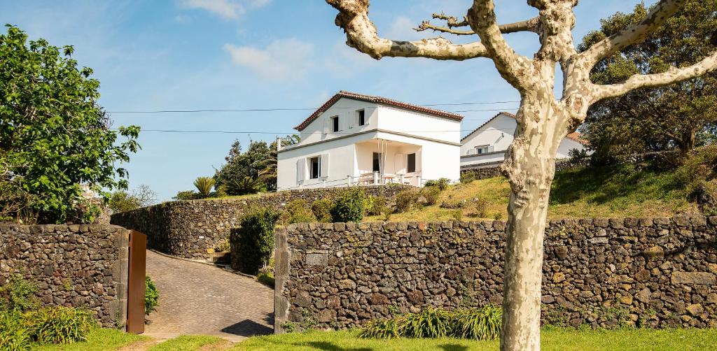 Maison de vacances Pedreira da Guia Rua Agente Técnico João Mota Amaral, 11 9560-145 Lagoa