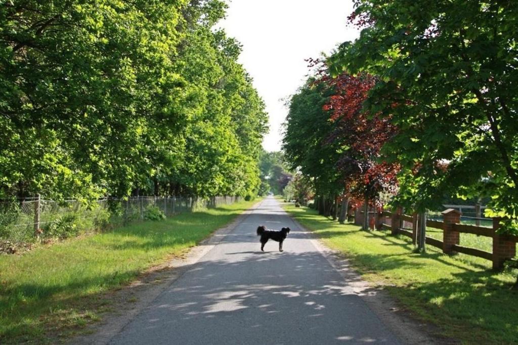 Pension am Pilgerweg Burghorn 7, 29359 Eschede