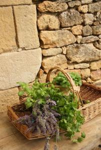 Périgourdine entre Lascaux et Sarlat