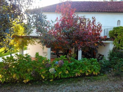 Pet Friendly - Barbecue - Pool - MyStay