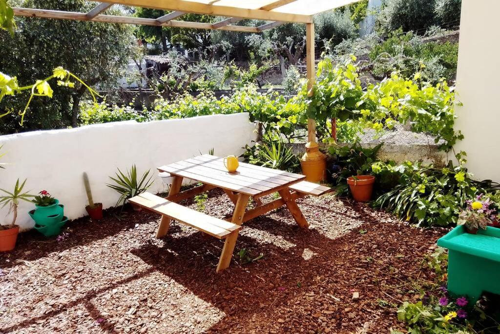 Maison de vacances Petal House 12 Rua Fernando Namora 7330-012 Beirã