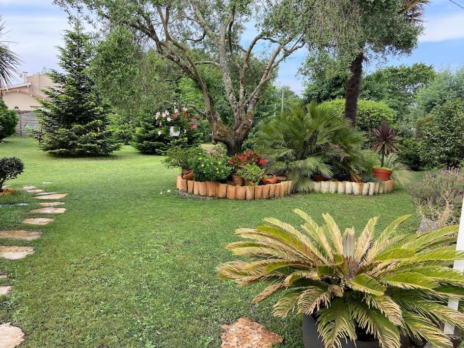 Petit chez soi sur le bassin d’arcachon 81 Rue Dejean Castaing, 33470 Gujan-Mestras