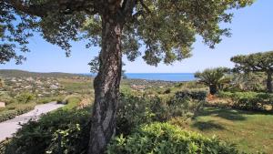 Petit Village