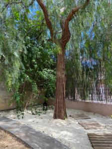 Petite maison au calme avec jardin clim et parking