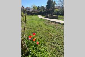 Petite maison de charme - Le jardin secret d'Alice