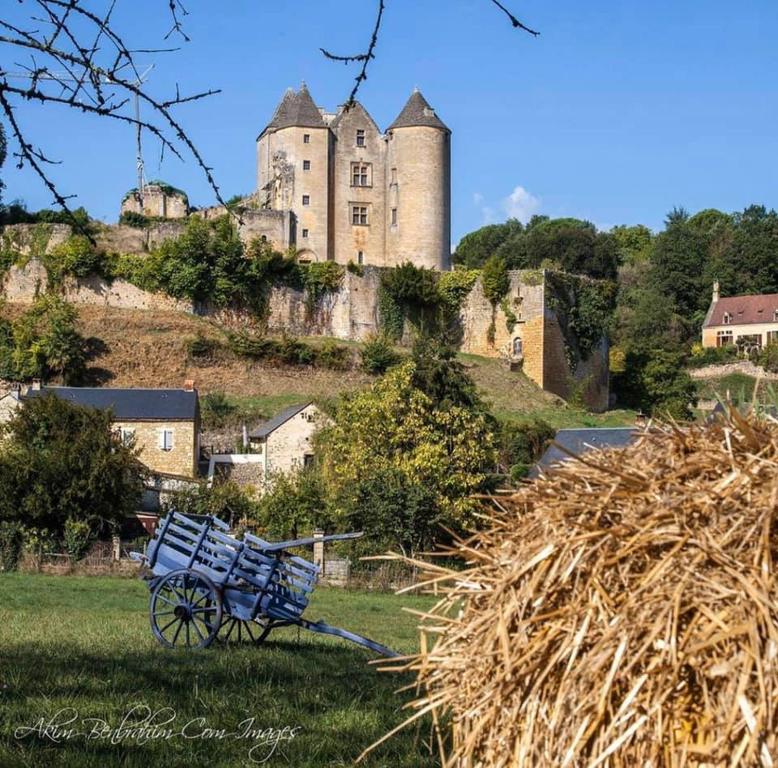 Maison de vacances petite maison en pierre au coeur du Périgord noir 1 Chemin du Pigné 24590 Salignac Eyvigues