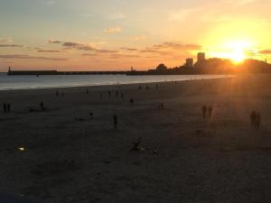 petite maison les sables d'olonne