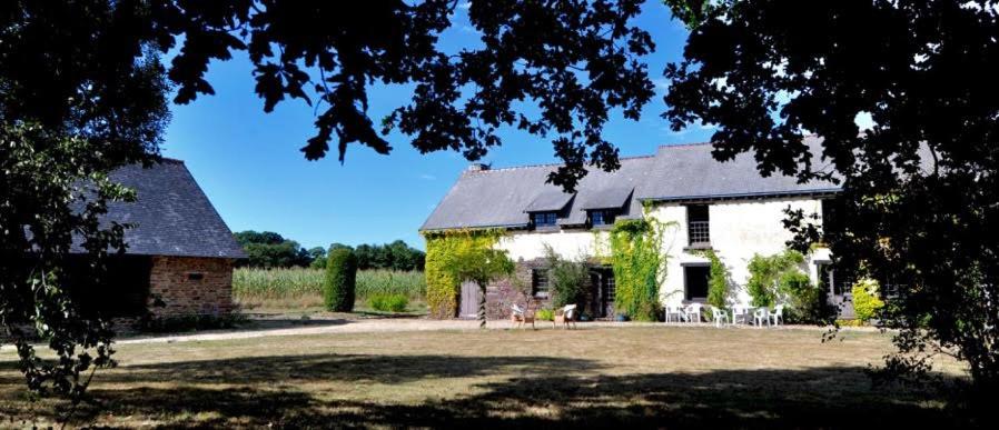 Petite maisonnette atypique et son jardinet