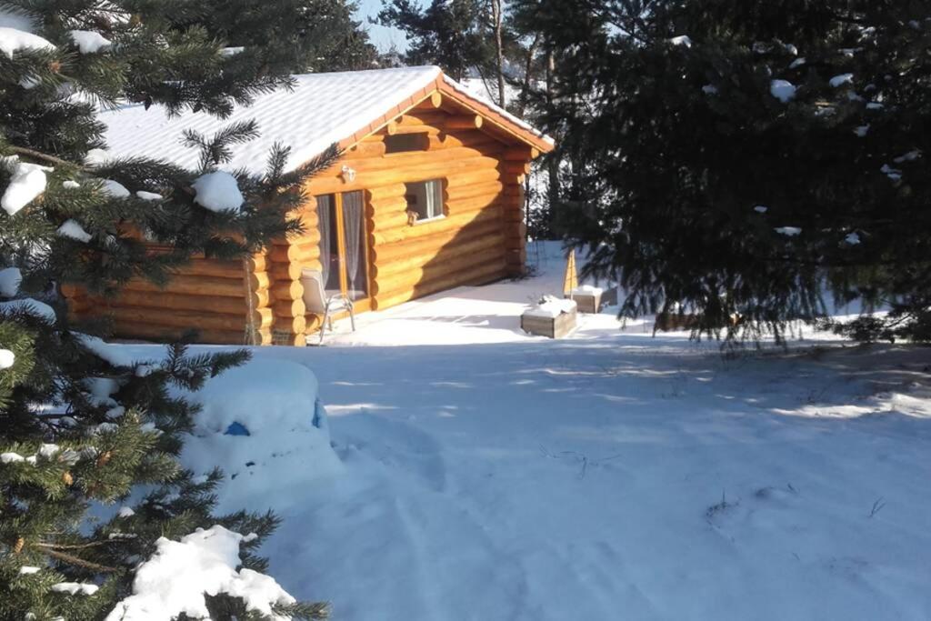 Pialous:Chalet en rondins avec Espace Détente 251 route des pins, 43120 La Chapelle-dʼAurec