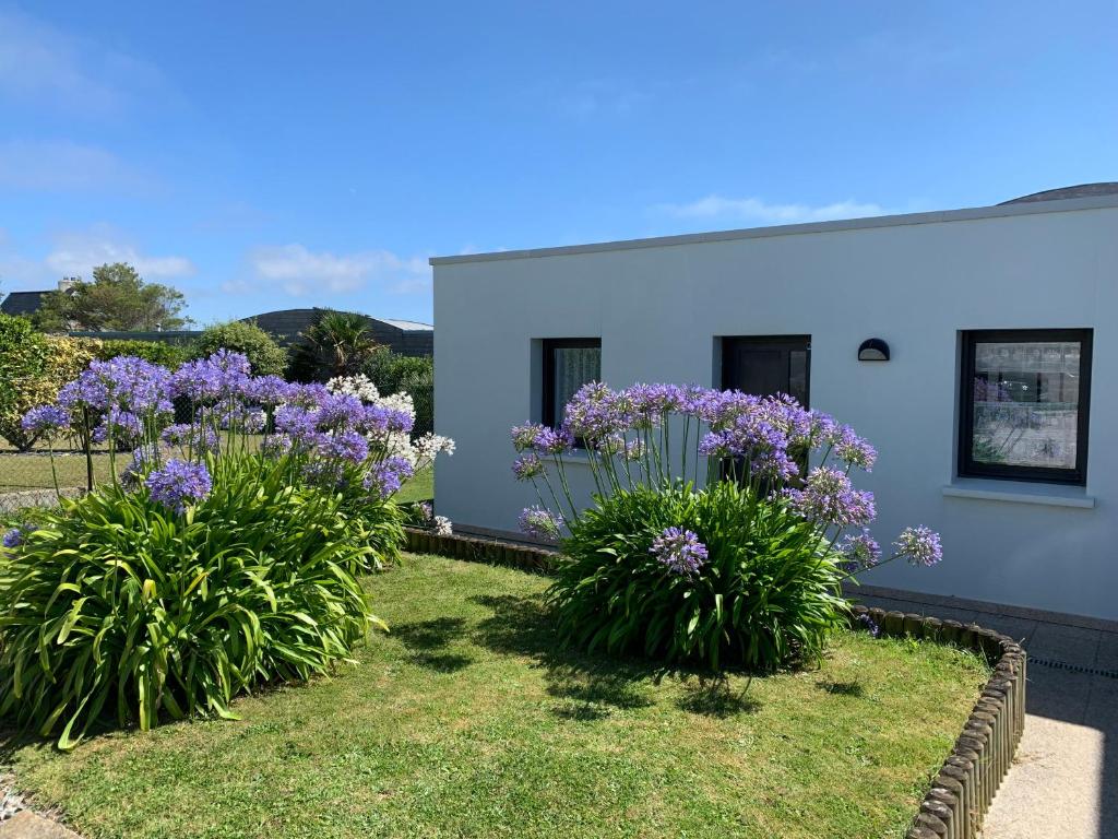 Maison de vacances Pied à terre pour des vacances au bord de la mer 26 Rue de la Tour d'Auvergne 29217 Le Conquet