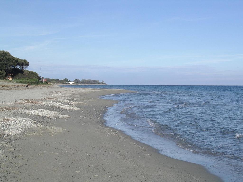 pied dan l'eau moriani plage res alba serena Résidence Alba Serena, 20230 Poggio-Mezzana