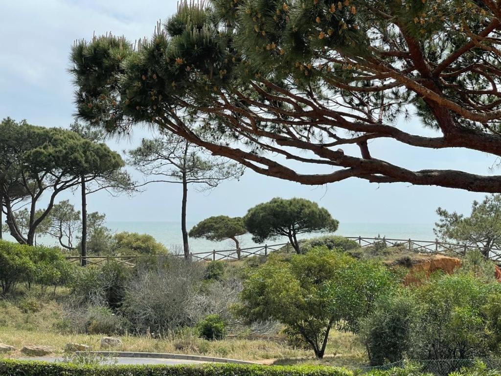 Praia da Falésia Alfa Mar Albufeira Rua dos Portugueses 64 A, 8200-600 Olhos de Água