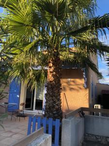 Proche Narbonne - AUDE 11- Saint pierre la Mer - ravissant pavillon plain pied F2- vaste terrasse - résidence avec piscine à 800M de la plage -Climatisé- parking privé - wifi gratuit