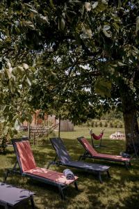 Maison de vacances Proche PuyDuFou - Gite Maison La Roulière 40 La Roulière 79700 Saint-Aubin-de-Baubigné Deux-Sèvres