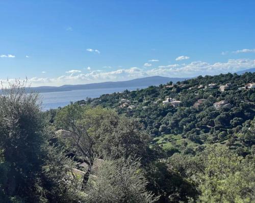 Provencale vue mer