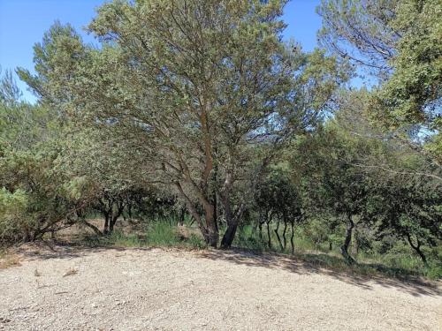 Provence