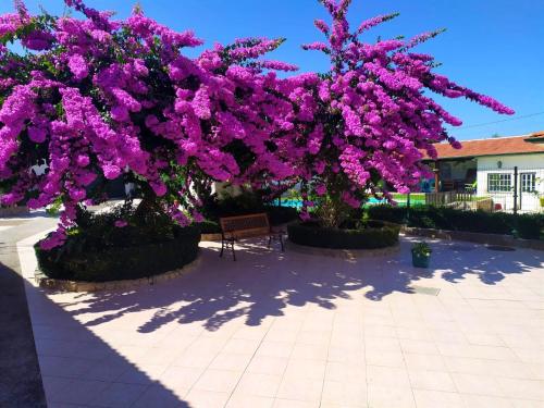 QM - Quinta da Morgadinha - Casa em Quinta Rural