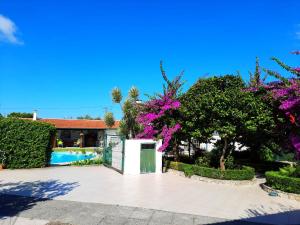 QM - Quinta da Morgadinha - Casa em Quinta Rural