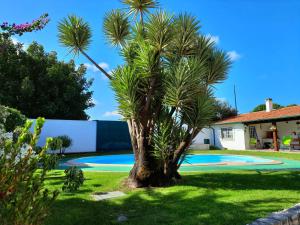 Maison de vacances QM - Quinta da Morgadinha - Casa em Quinta Rural 70 Rua de São Brás 3105-168 Cabeços -1
