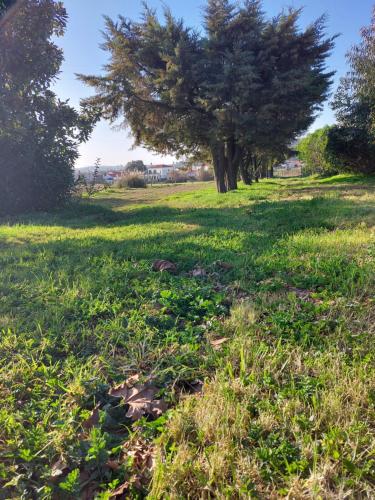Quinta Cunte - Casa Sobreiro
