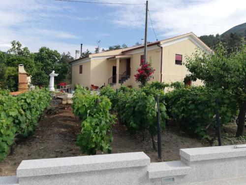 Quinta da Gandarela