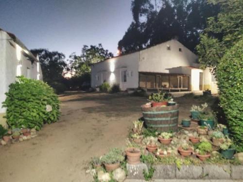 Quinta da Mesa