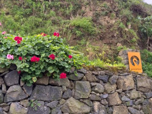 Quinta da Pavoa - Cottage House