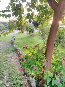 Quinta da Perdiz Country House
