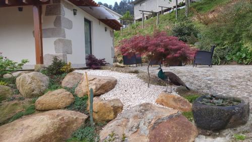 Quinta da Vinha do Souto